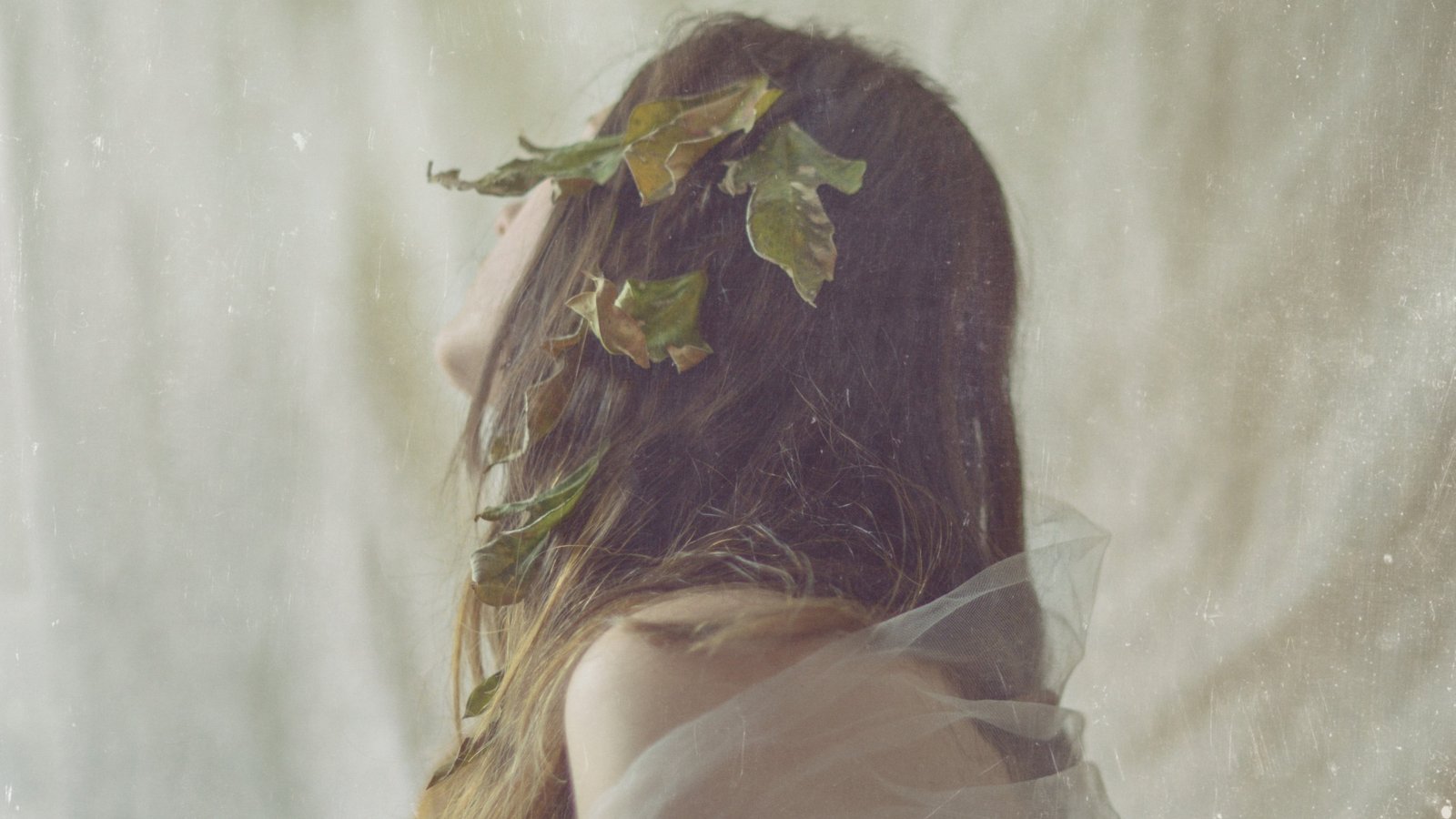 又要准备做新站了