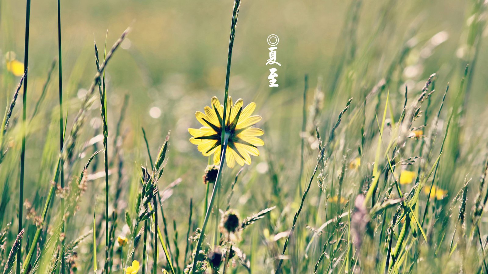 谁还用CSDN社区,CSDN网站的含金量越来越低了