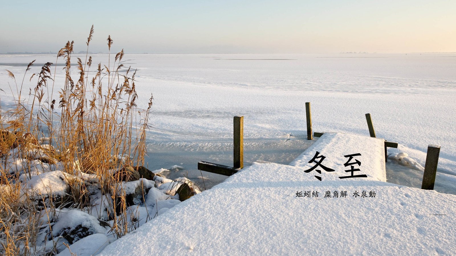 智齿不疼就不用拔是真的吗