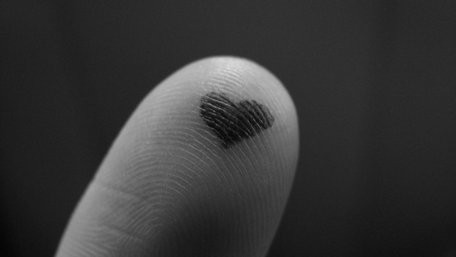 免费泛目录程序:识别伪百度蜘蛛的方法,答案解析尽在小千博客 - 全民博客