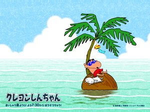 安卓可爱 卡通 蜡笔小新 儿童桌面专用 尼玛手机壁纸