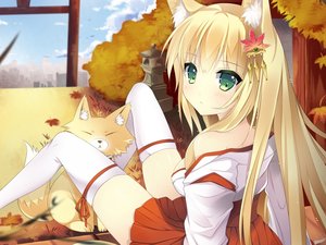 安卓动漫 动漫少女 插画 可爱 猫女郎手机壁纸