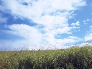 超宽 全景 风景 蓝天白云 儿童桌面专用 mlgb