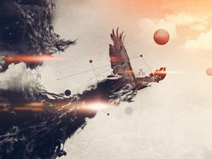 安卓设计 创意 中国风 凤凰手机壁纸