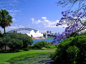安卓风景 风光 美景 旅游 悉尼 悉尼歌剧院手机壁纸