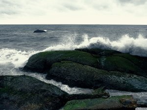 安卓风景 海洋天堂 摄影手机壁纸