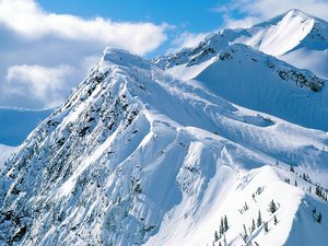 安卓风景 银装素裹 冰天雪地手机壁纸