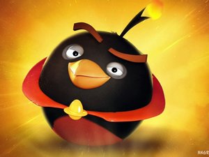 安卓愤怒的小鸟 Angry Birds 可爱 卡通 游戏 宽屏手机壁纸