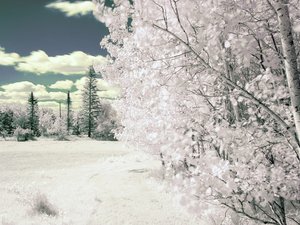 安卓风景 冰天雪地手机壁纸