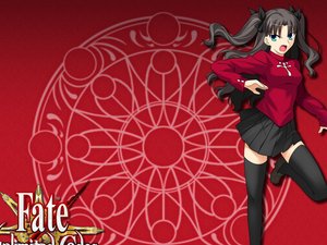 Fate unlimited codes 游戏 动漫