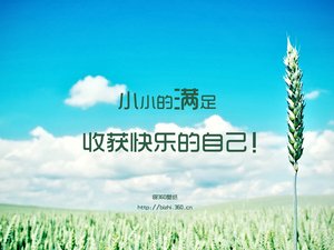安卓小小清新满 节气 心情 清新 麦田 夏天 夏日手机壁纸