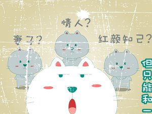 安卓笨笨猫 可爱 卡通猫手机壁纸