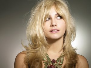 安卓高清 宽屏 美女 模特手机壁纸