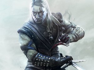 巫师 狩魔猎人 Witcher 高清 游戏