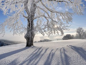 超宽 全景 风景 儿童桌面专用 冰天雪地 mlgb