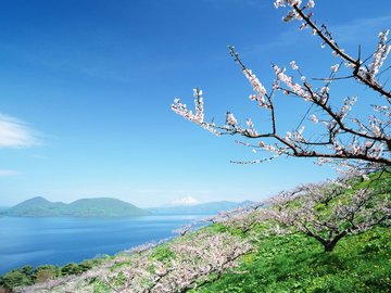 风景 自然风光 大自然 唯美 日本 北海道 日系 旅游胜地