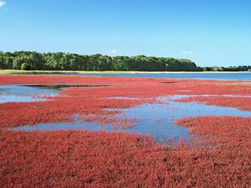 风景 自然风光 大自然 唯美 日本 北海道 日系 旅游胜地