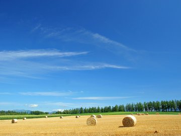 风景 自然风光 大自然 唯美 日本 北海道 日系 旅游胜地