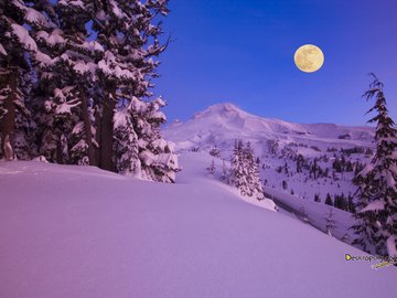 风景 雪景 树林 山脉