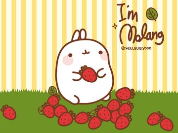 动漫 molang 可爱 手绘