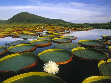 开阔 风景 阳光 大气 旅游 风光 自然风光