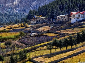 风景 田园