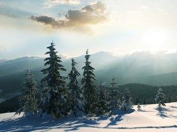 风景 雪 自然风光 冬季 冬天