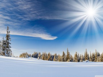 风景 白雪 雪地 冬天 冬季 阳光 蓝天 白云