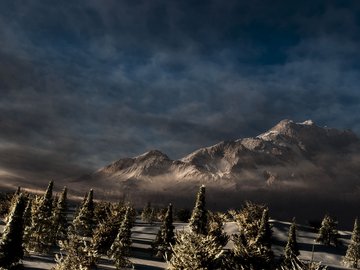 风景 摄影 阴霾 雪山 松树