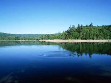 风景 自然风光 湖泊 春意盎然 mlgb