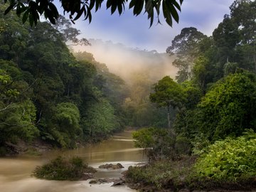 风景 河流 自然风光