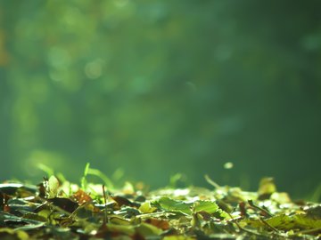 风景 秋意正浓