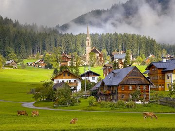 风景 旅游胜地 房子 农场