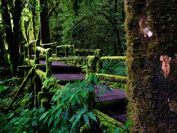 风景 旅游 泰国