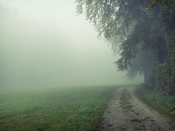 风景 早晨 雾