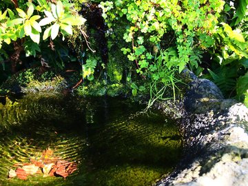 风景 旅游 韩国 济州岛