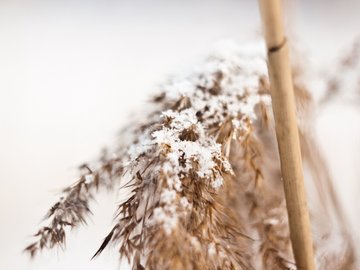 小清新 清新淡雅