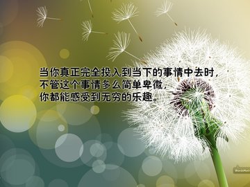 小清新 护眼壁纸