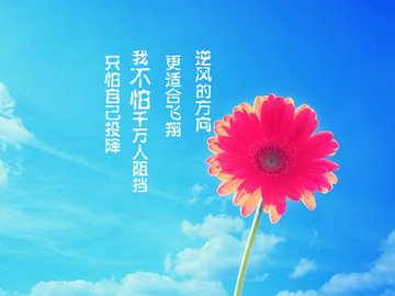 创意 励志 高考必胜 高考