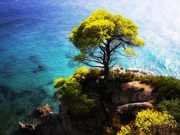 风景 自然 海岸