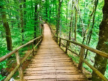 壮丽 风光 美景 旅游 自然 开阔风景