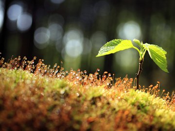 小清新 清爽 温馨 静物写真