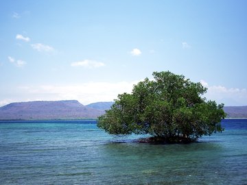 风景 海洋天堂