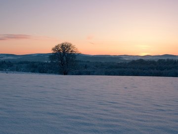 风景 冰天雪地