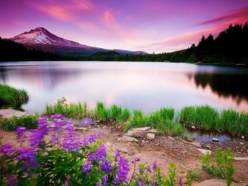 风景 自然风景 高清 鲜花 云彩