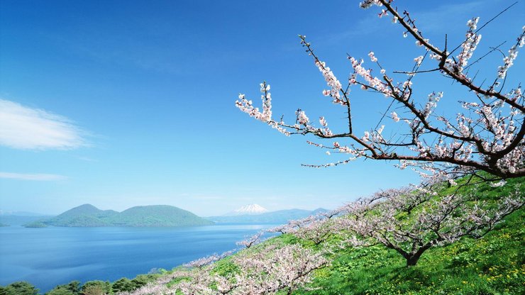 风景 自然风光 大自然 唯美 日本 北海道 日系 旅游胜地