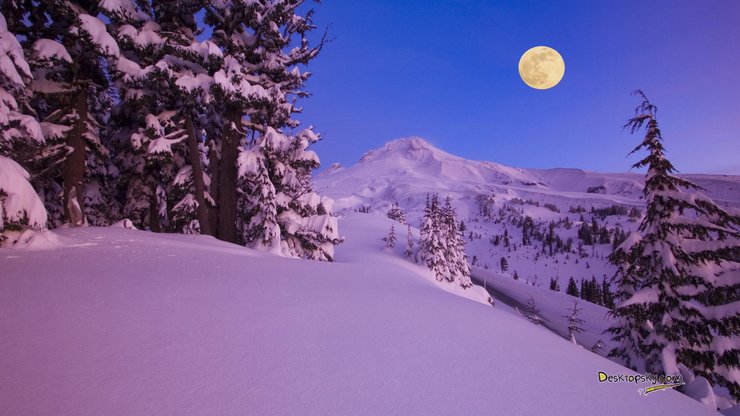 风景 雪景 树林 山脉