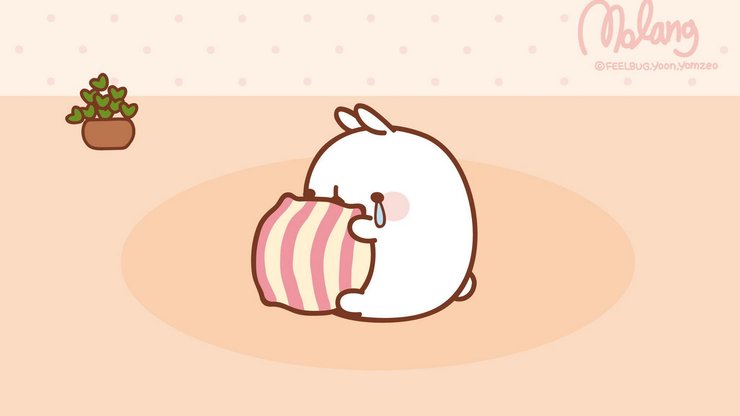 动漫 molang