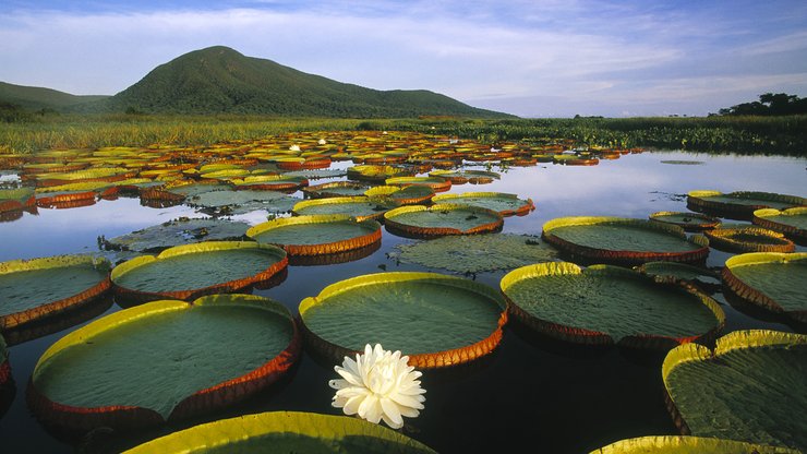 开阔 风景 阳光 大气 旅游 风光 自然风光