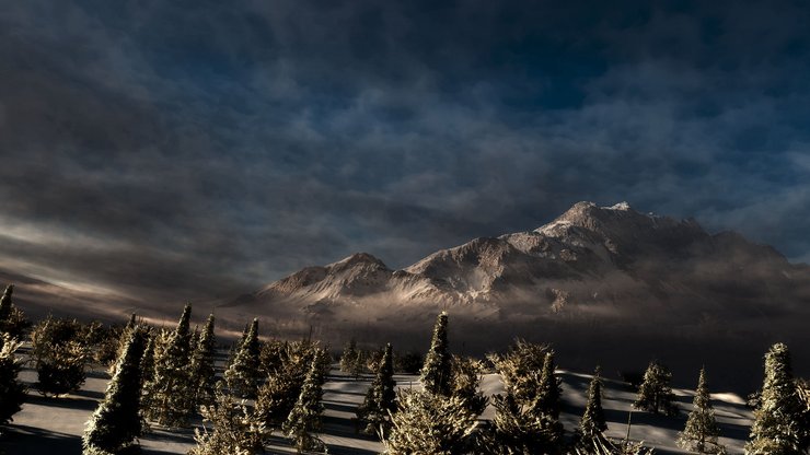 风景 摄影 阴霾 雪山 松树